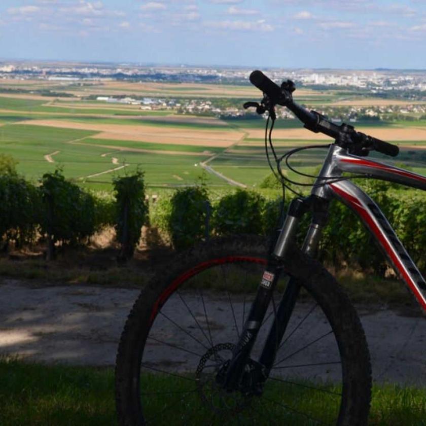 Gite Saint Martin Pargny-les-Reims エクステリア 写真